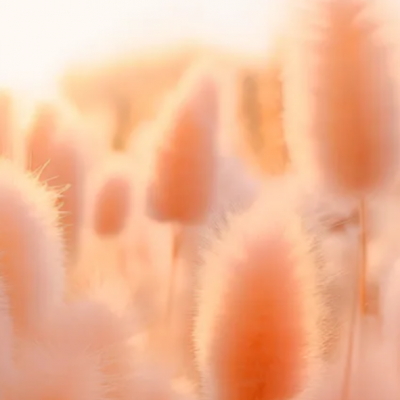 Pantone-Farbe des Jahres 2024